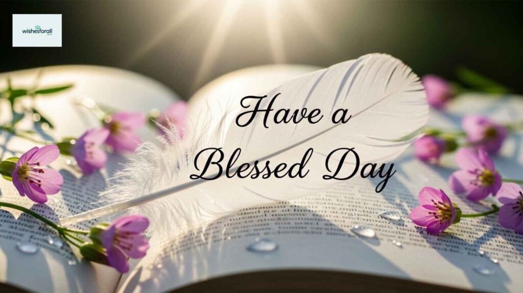 pure-and-sincere-wishes