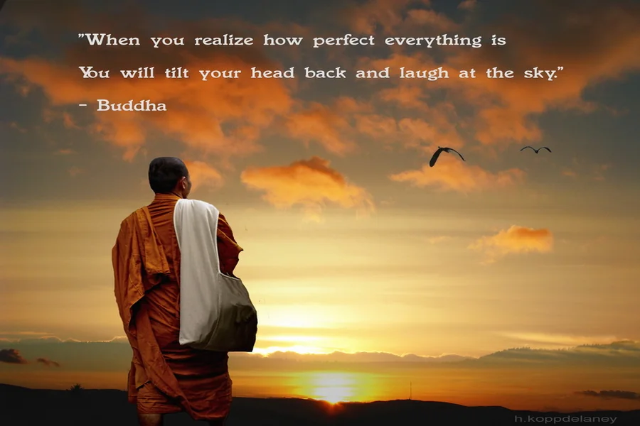 Best Quotes About Wisdom and Knowledge for Daily Growth