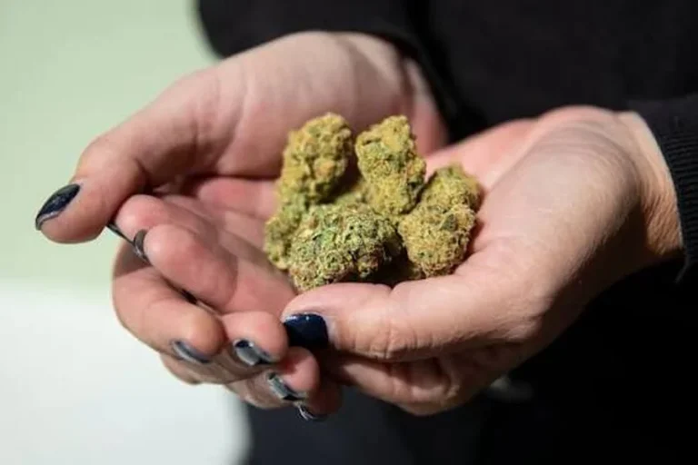 How to Choose the Right Cannabis Products at an Atlantic City Dispensary