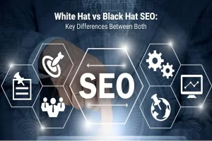 Premium Backlink Services For Website Authority Guide
